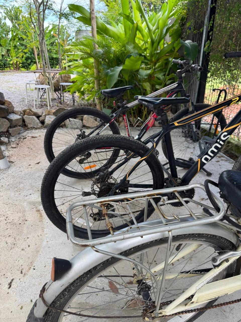 פנתאי צנאנג Ezu Isle Langkawi Pool Villa מראה חיצוני תמונה